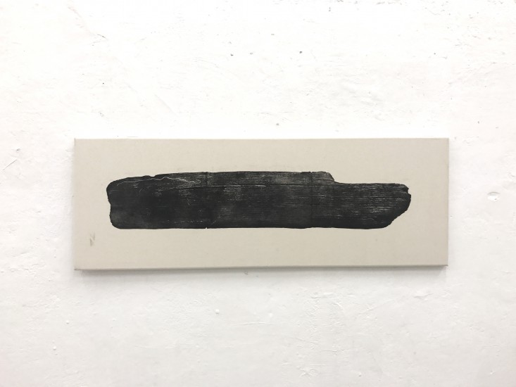 Ark | aquatint on canvas | 35x80cm